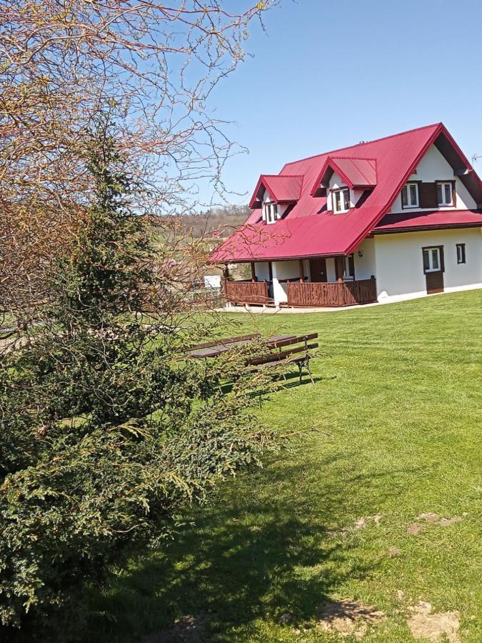 Drozdówka nad Soliną - Chata z Kominkiem Zewnętrze zdjęcie
